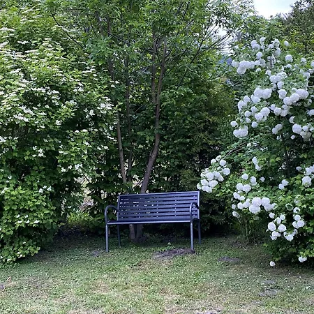 Kokapu Vendeghaz Lejlighed Hegymagas